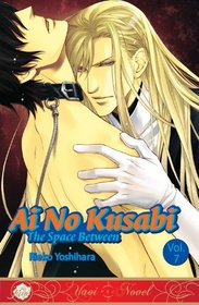 Ai No Kusabi Volume 7 (Yaoi Novel)