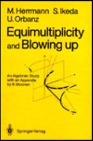 Equimultiplicity and Blowing up: An Algebraic Study