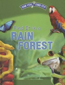 Find It in a Rain Forest (Can You Find It?)