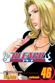Bleach, Vol. 46 (Bleach (Graphic Novels))