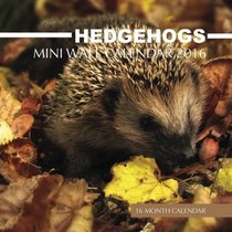 Hedgehogs Mini Wall Calendar 2016: 16 Month Calendar