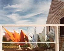 Joel Meyerowitz: Cape Light