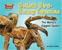 Goliath Bird-Eating Tarantula: The World's Biggest Spider (Supersized!)