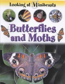 Butterflies and Moths (Looking at Minibeasts)