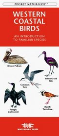 Western Coastal Birds: An Introduction to Familiar Species (Pocket Naturalist)