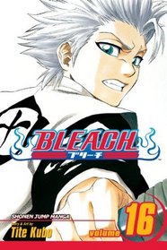 Bleach 16: Wijnruit (Bleach (Prebound))