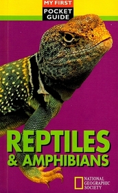 Reptiles and Amphibians (My First Pocket Guide)