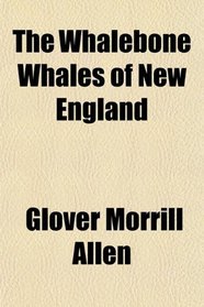 The Whalebone Whales of New England