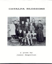 Catalpa blossoms