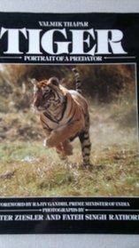 Tiger-Portrait of a Predator