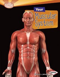Your Muscular System (Searchlight Books: How Does Your Body Work?)
