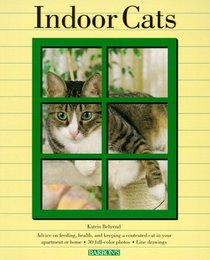 Indoor Cats: Understanding and Caring for Your Indoor Cat (Pet Healthcare)