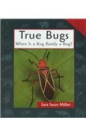 True Bugs: When Is a Bug Really a Bug? (Animals in Order)