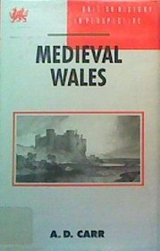 Medieval Wales (British History in Perspective)