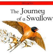 The Journey of a Swallow (Lifecycles)