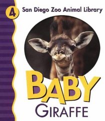 Baby Giraffe (San Diego Zoo Animal Library)