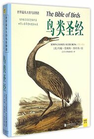 The Bible of Birds (Chinese Edition)