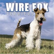 Wire Fox Terriers 2005 Wall Calendar