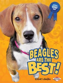 Beagles Are the Best! (The Best Dogs Ever)