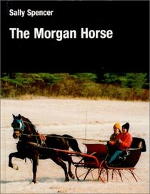 The Morgan Horse (Allen Breed Series)
