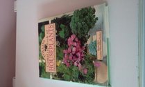 Collins Complete Book of Houseplants: A Practical Guide to Over 300 Classic Indoor Plants