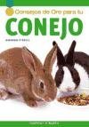 50 Consejos De Oro Para Tu Conejo/ Gold Metal Guide, Rabbit (Spanish Edition)