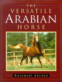 Versatile Arabian