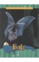 Bats (Animals of the Rain Forest)