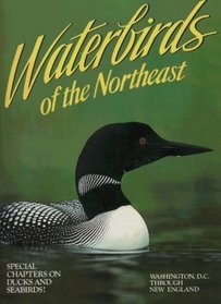 Waterbirds of the Northeast