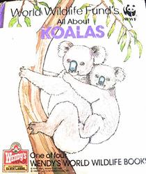 Cozy Koalas