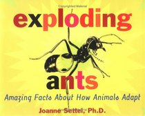 Exploding Ants : Amazing Facts About How Animals Adapt