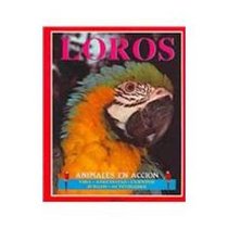 Loros / Parrots: Animales en accion (Spanish Edition)