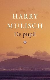 De pupil (Dutch Edition)