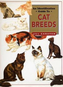 An Identification Guide to Cat Breeds
