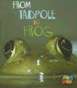From Tadpole to Frog (Heinemann First Library)