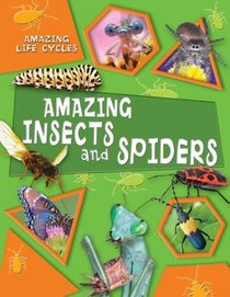 Amazing Insects and Spiders (Amazing Life Cycles)