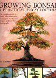 Complete Practical Encyclopedia of Bonsai: The Essential Step-By-step guide to creating, growing and Displaying Bonsai with Over 800 Photographs