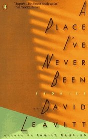 A Place I've Never Been (Contemporary American Fiction)