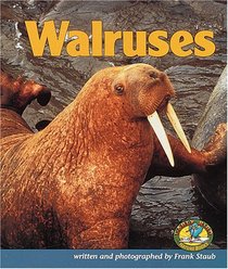 Walruses (Early Bird Nature Books)