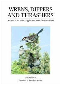 Wrens, Dippers, and Thrashers: A Guide to the Wrens, Dippers, and Thrashers of the World