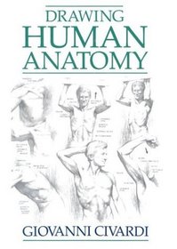 Drawing Human Anatomy