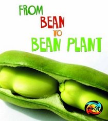 From Bean to Bean Plant (Young Explorer: How Living Things Grow) (Young Explorer: How Living Things