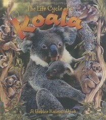 Life Cycle of a Koala (Life Cycles)