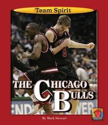 The Chicago Bulls (Team Spirit)