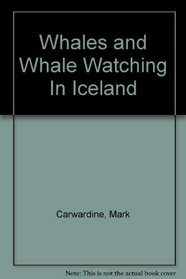 Whales and Whale Watching In Iceland