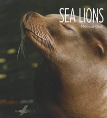 Sea Lions (Living Wild)