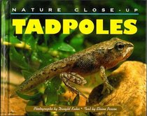 Nature Close-Up - Tadpoles