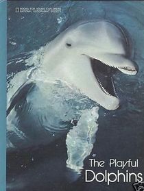 The Playful Dolphins