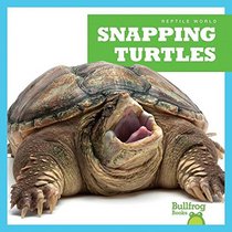 Snapping Turtles (Bullfrog Books: Reptile World)