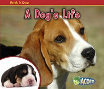 A Dog's Life (Acorn)